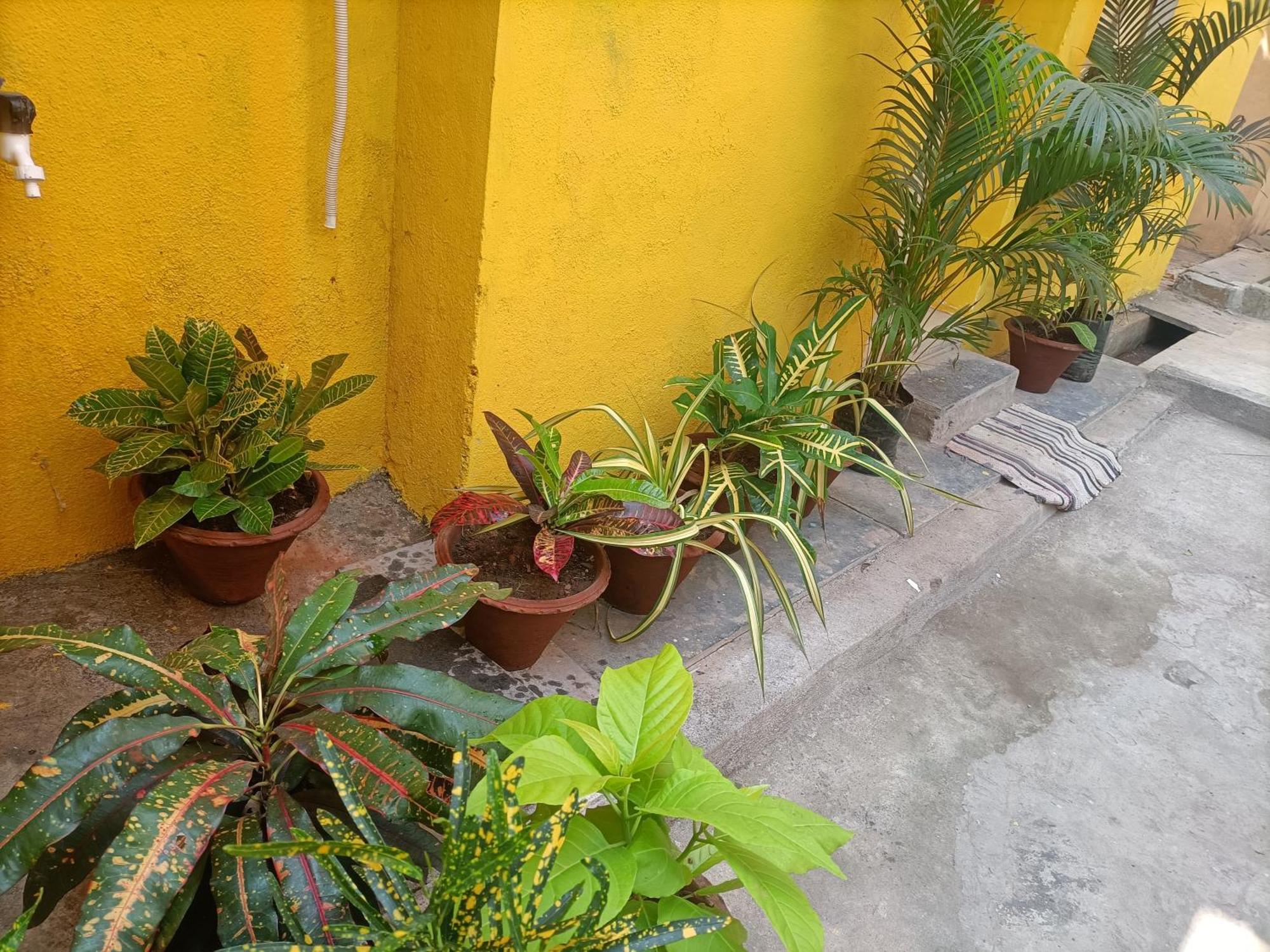 Nks Homestay Pondicherry Exterior photo